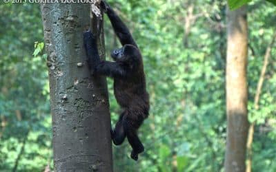 Injured Orphan Kalonge Healing Well Reports Dr. Eddy