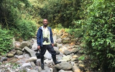 Chasing a dream while being chased by a gorilla