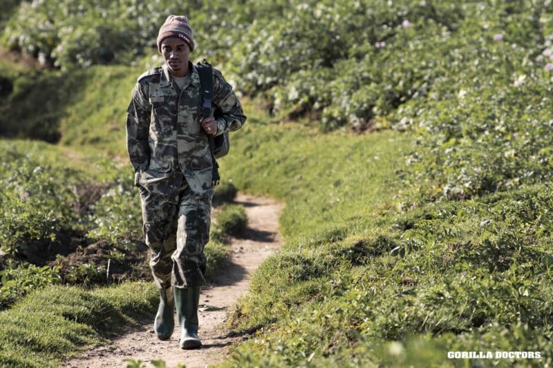 Dr. Gaspard Names an Infant Mountain Gorilla for the 20th Kwita Izina Celebration