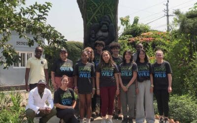 Houston Zoo Crew Works with Gorilla Doctors
