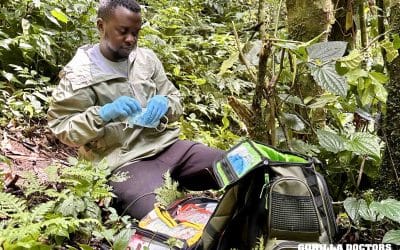 Dr. Nelson Publishes First Scientific Paper!