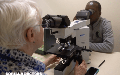 Dr. Noel Returns to Rwanda as Gorilla Doctors’ NEW Regional Pathologist