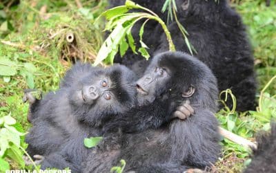 Getting to Know Dr. Sonya: Part 1