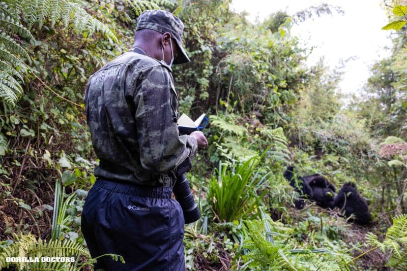 Dr. Gaspard Names an Infant Mountain Gorilla for the 20th Kwita Izina Celebration