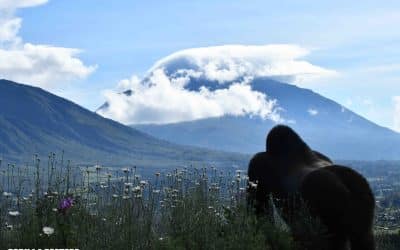 Getting to Know Dr. Sonya: Part 3