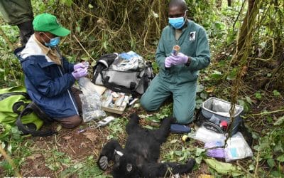 A Personal Note from Dr. Eddy