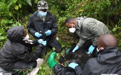 Dr. Adrien Completes Conservation Leadership Training