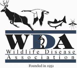 wdas logo