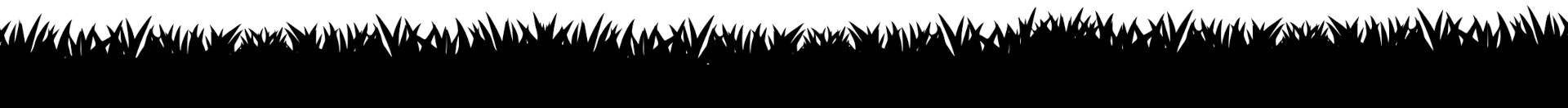 Divider Saving a Species Section