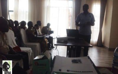 Gorilla Doctors Lead One Health Workshop on Ebolavirus in DRC