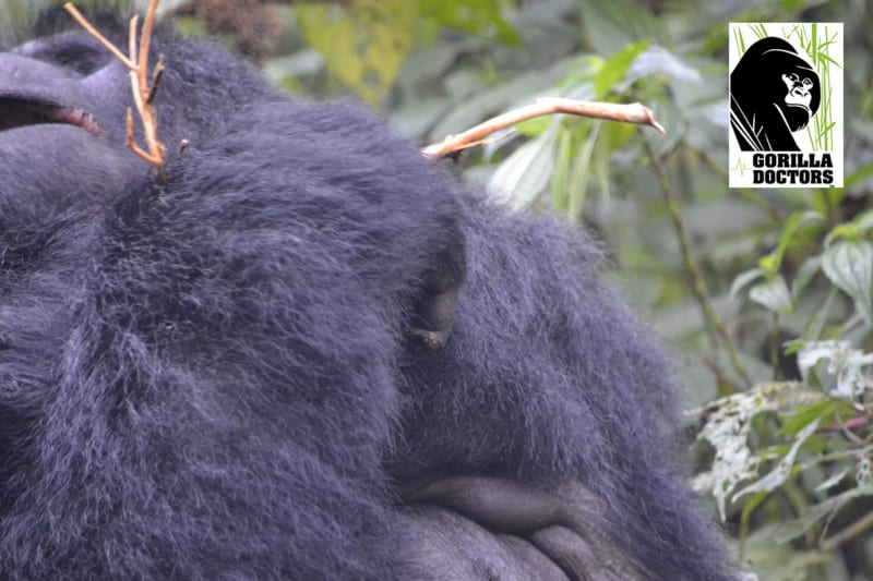 Rukara's lesion on his mouth