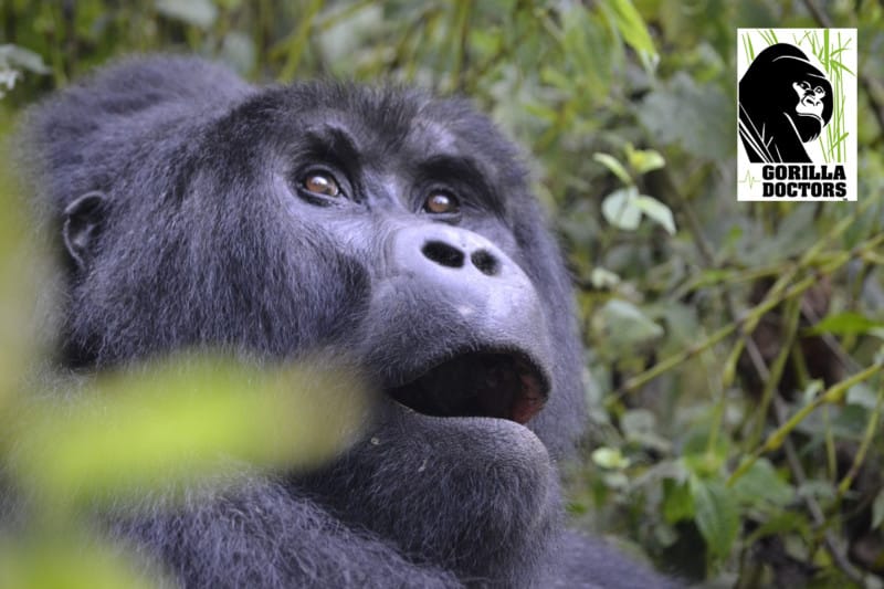 Rukara's lesion on his mouth