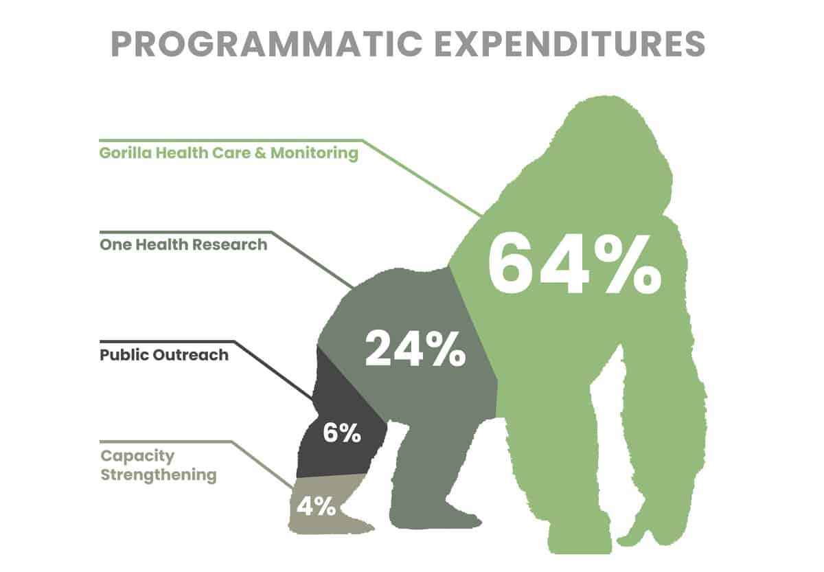 Programs - GORILLA-23-24