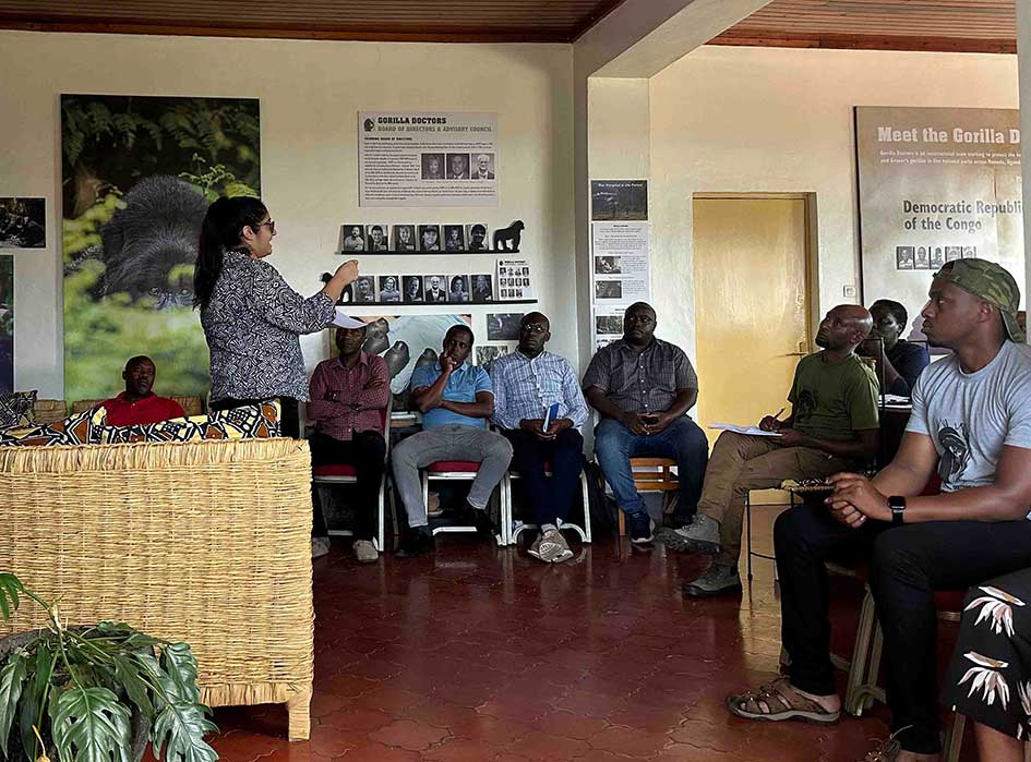 Volunteer with gorilla doctors