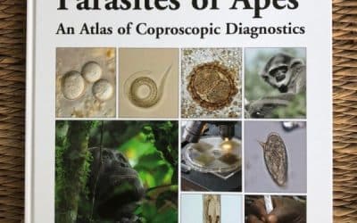 New Great Ape Parasitology Book