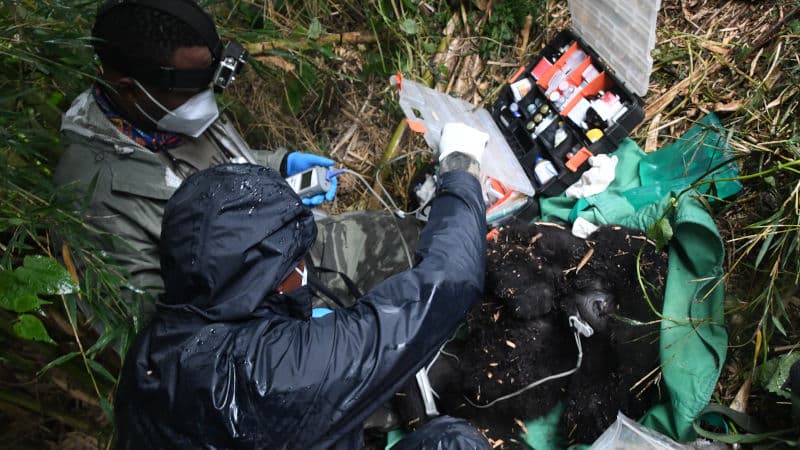 Structure of an Intervention: Snare Rescue step7